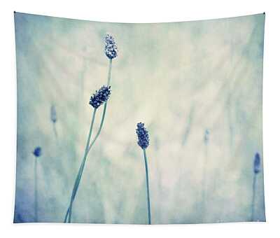 Blue Hue Tapestries