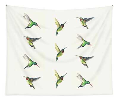 Costas Hummingbird Tapestries