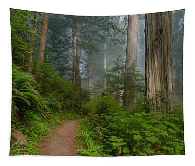 Prairie Creek Redwoods State Park Tapestries