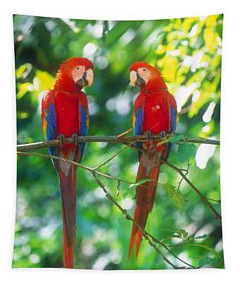 Peruvian Rainforest Tapestries