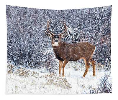 Deer Creek Tapestries