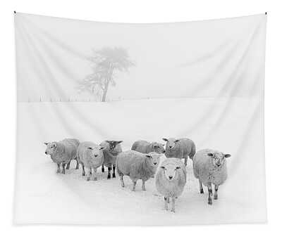 Winter Snow Tapestries