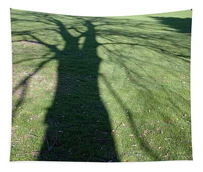 Designs Similar to Shadow of a tree on green grass