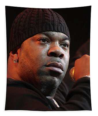 Designs Similar to Busta Rhymes by Concert Photos