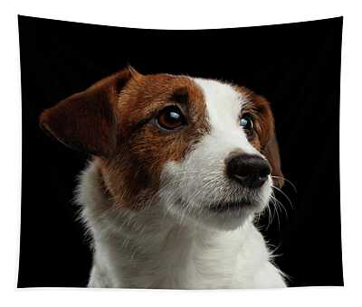 Jack Russell Tapestries