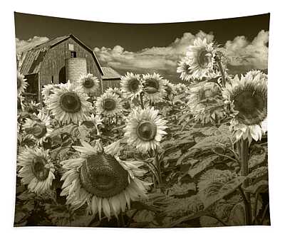 Common Sunflower Tapestries