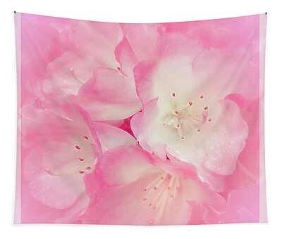 Designs Similar to Blushing Pink Rhododendron