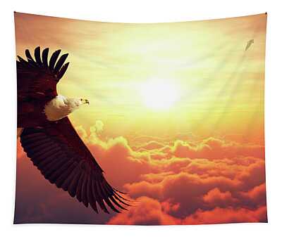 Designs Similar to Fish Eagle flying above clouds