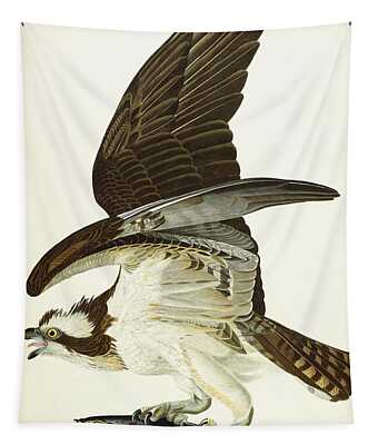 Fish Hawk Tapestries