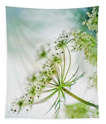 Dainty Tapestries