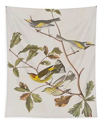 Cape May Warbler Tapestries