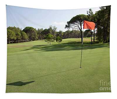 Designs Similar to Golf  by American School
