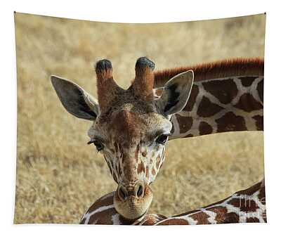 Somali Giraffe Tapestries