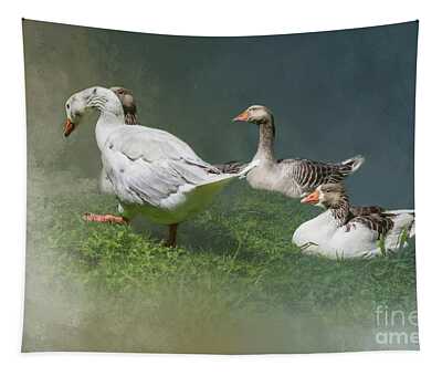Greylag Geese Tapestries