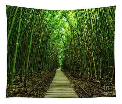 Bamboo Tapestries