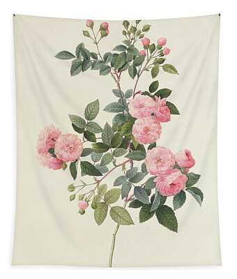 Multiflora Rose Tapestries