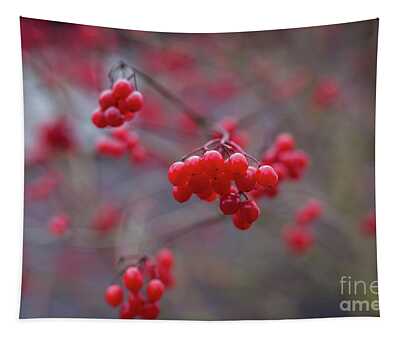 Winterberry Tapestries