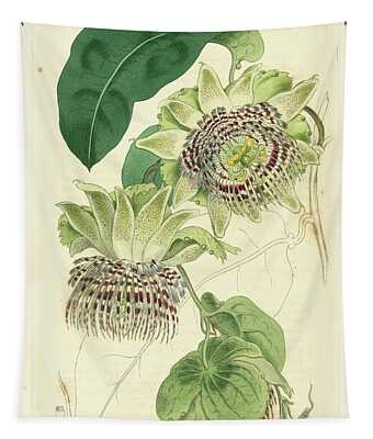 Passionflower Tapestries