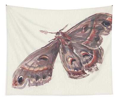 Cecropia Moth Tapestries