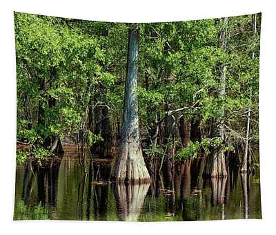 Gilchrist County Tapestries