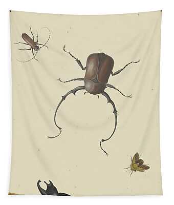 Stink Beetle Tapestries