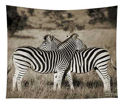 The Zebra Tapestries