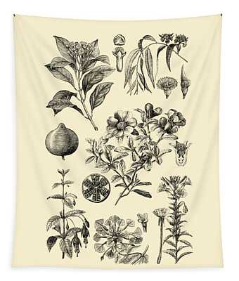 Black Seeds Tapestries