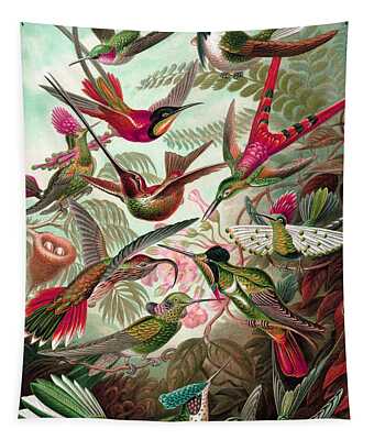 Trochilidae Tapestries