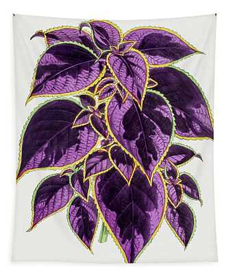 Perennial Plant Tapestries