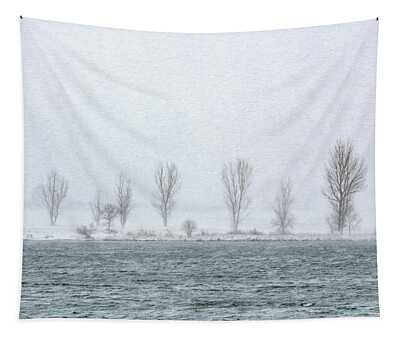 Blowing Snow Tapestries