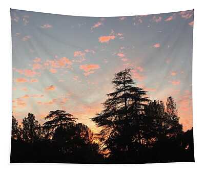 Fire Pink Tapestries