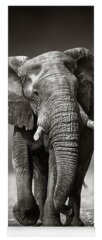 Elephant Yoga Mats