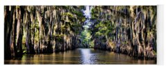 Caddo Lake Yoga Mats