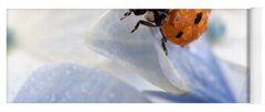Ladybug Yoga Mats