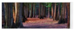 Redwood Forest Yoga Mats