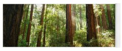 Forest Landscape Yoga Mats