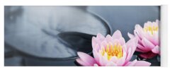 Lotus Pond Yoga Mats