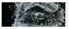 Snapping Turtle Yoga Mats