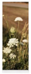 Designs Similar to Queen Anne's Lace