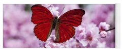 Butterfly On Flower Yoga Mats