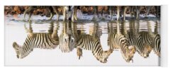 Designs Similar to Reflected Zebras
