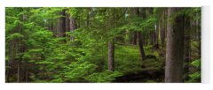 Designs Similar to Quiet Forest Layers
