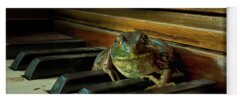 Bull Frog Yoga Mats
