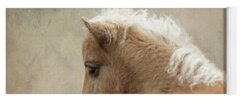 Shetland Pony Yoga Mats