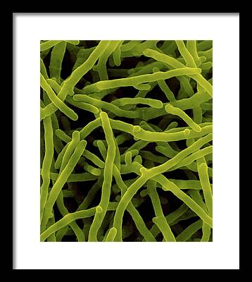 Streptomycin Framed Prints