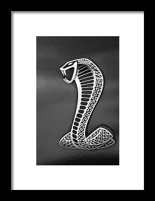 Black Snake Art - Pixels