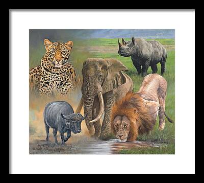 African Buffalo Framed Prints