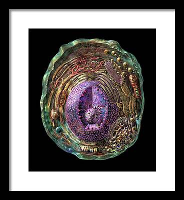 Vesicles Framed Prints