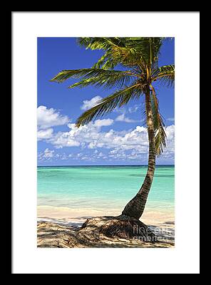 Tropics Framed Prints