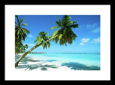 Vacation House Framed Prints